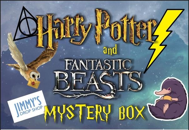 Harry Potter and Fantastic Beasts Mystery Box